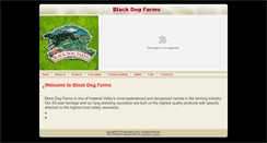 Desktop Screenshot of blackdogfarms.com