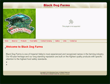 Tablet Screenshot of blackdogfarms.com